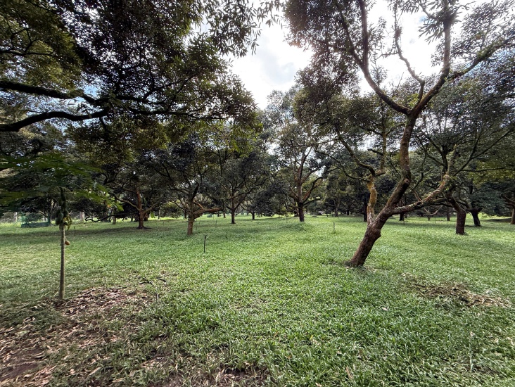 Jalan Tras Raub, 27600 Pahang image