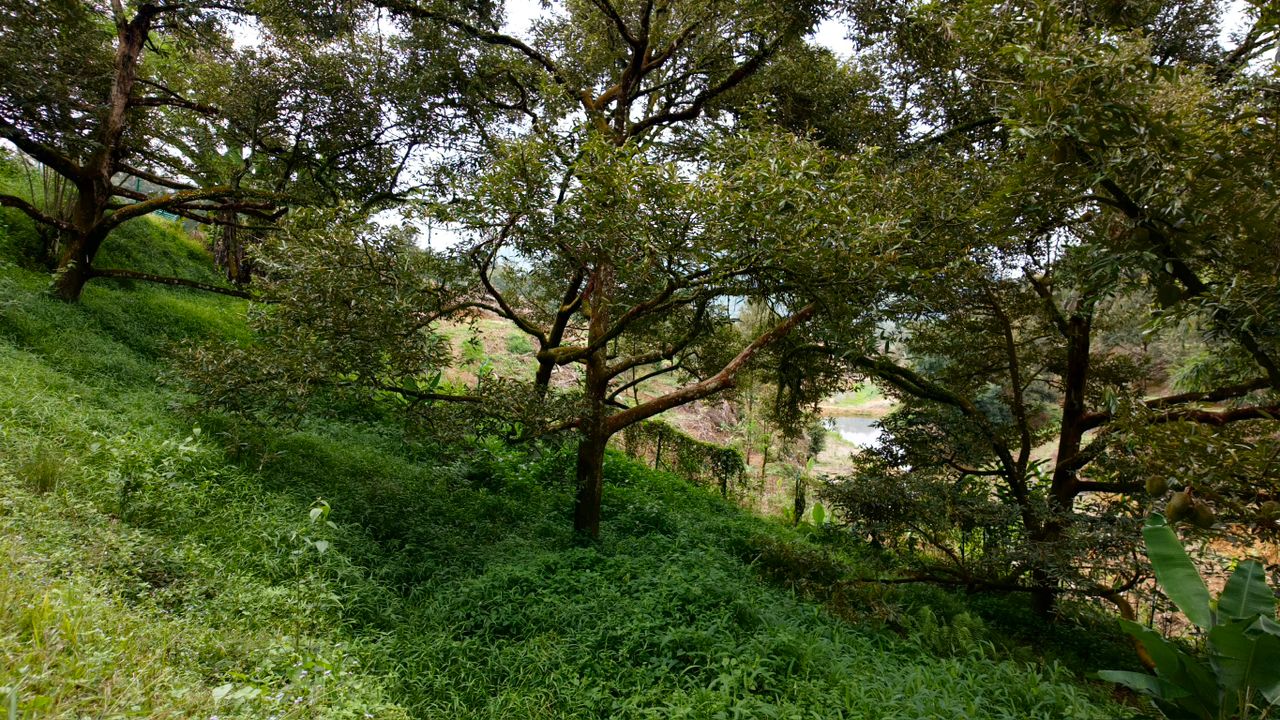 Jalan Tras Raub, 27600 Pahang image
