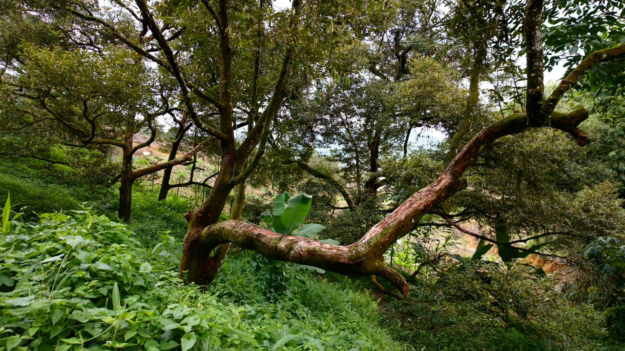 Jalan Tras Raub, 27600 Pahang image