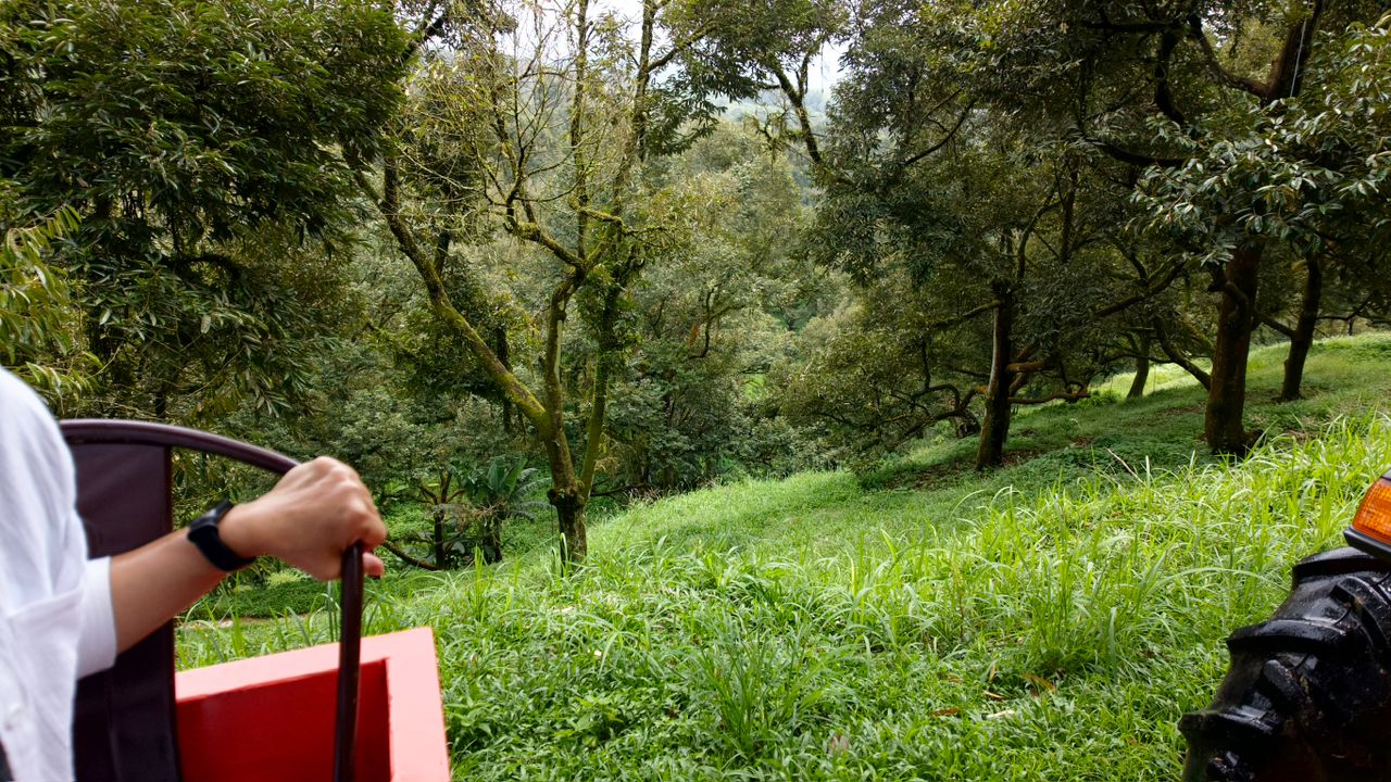 Jalan Tras Raub, 27600 Pahang image