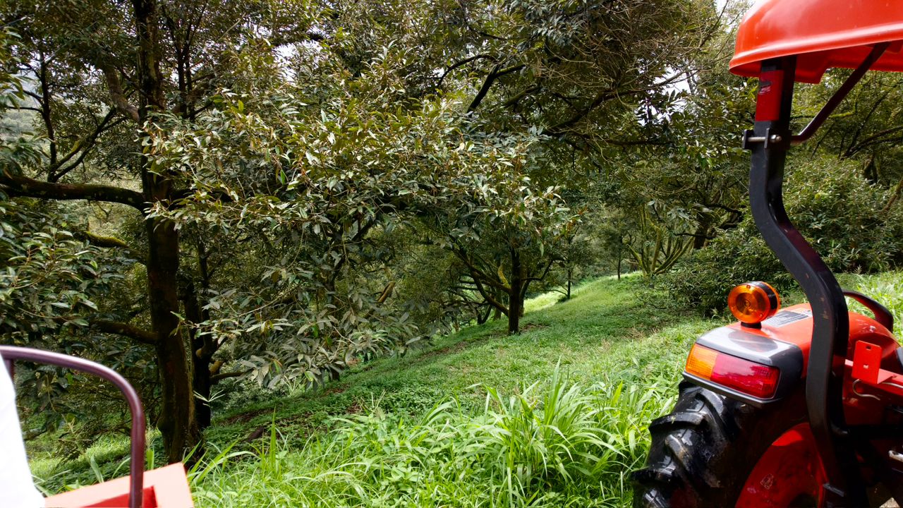 Jalan Tras Raub, 27600 Pahang image