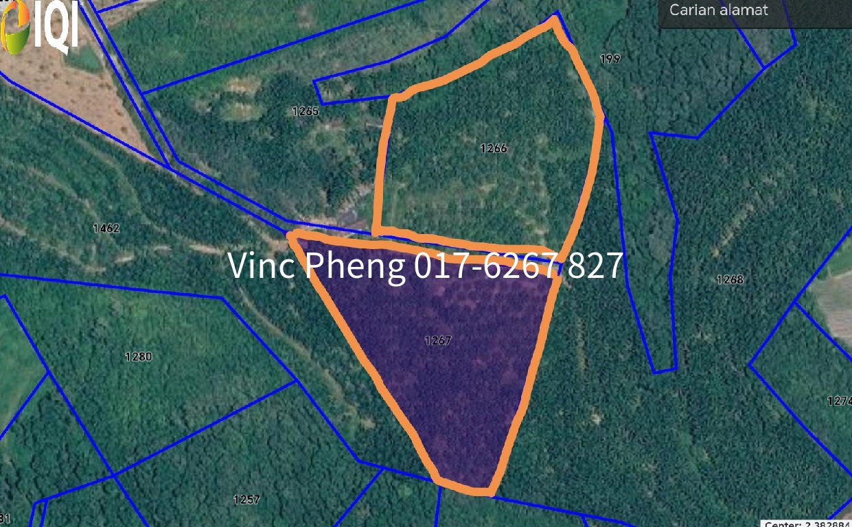 LARGE FREEHOLD Mature Palm Oil Land @ Alor Gajah Melaka image