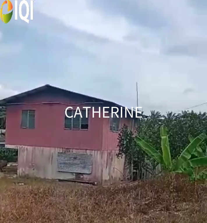 Agricultural Land Kluang Johor image