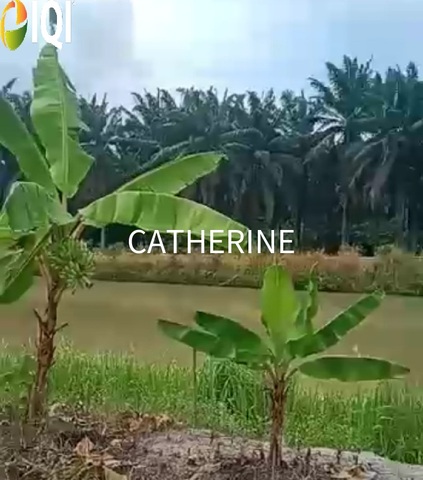 Agricultural Land Kluang Johor image