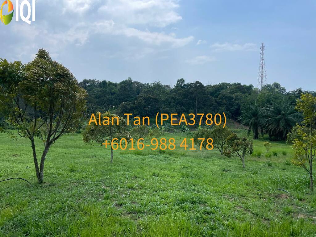 Kuantan Damansara image