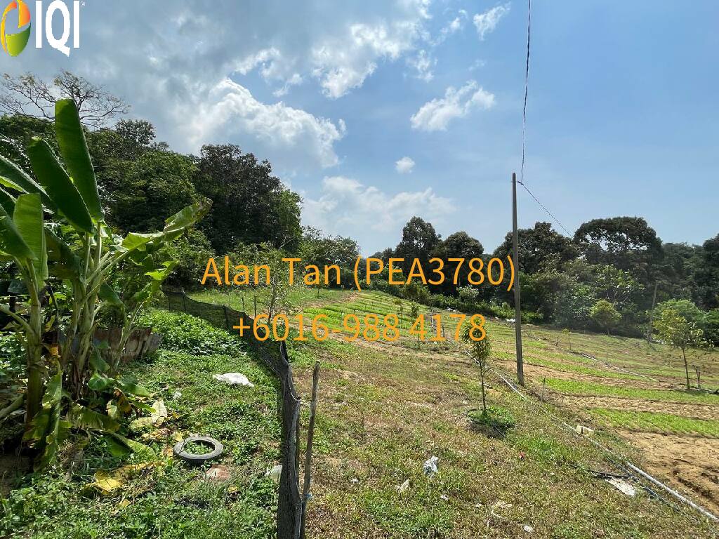 Kuantan Damansara image