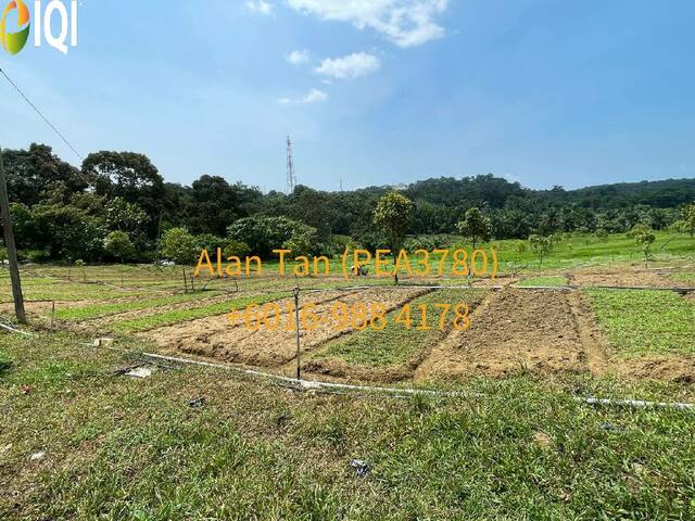 Kuantan Damansara image