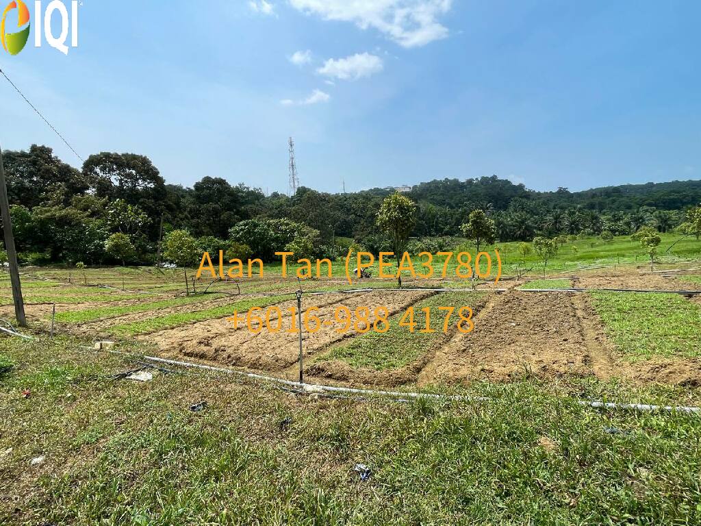 Kuantan Damansara image