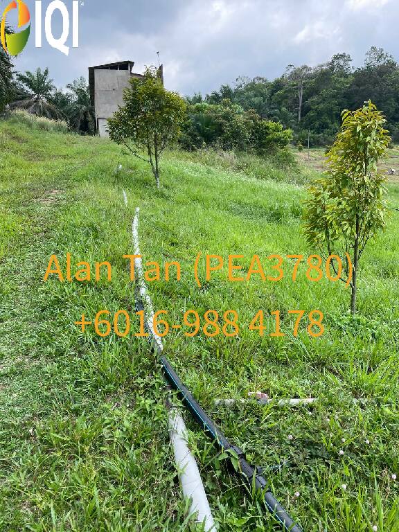 Kuantan Damansara image