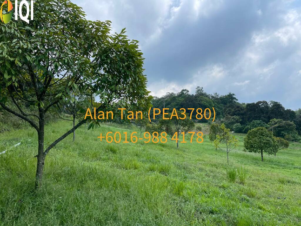 Kuantan Damansara image