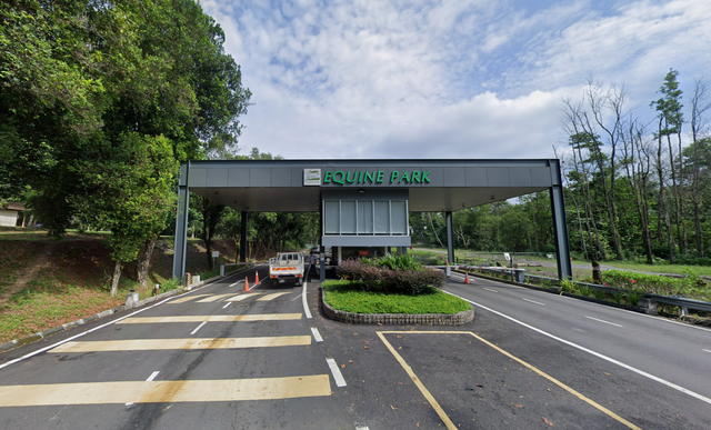 Taman Equine image