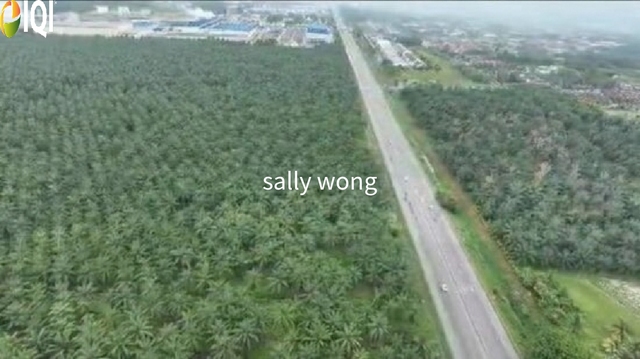 Bukit Changgang, Tanjong Dua Belas, Banting