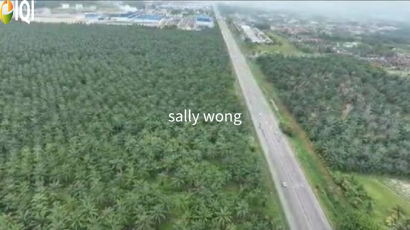 Bukit Changgang, Tanjong Dua Belas, Banting image