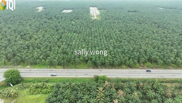 Bukit Changgang, Tanjong Dua Belas, Banting image