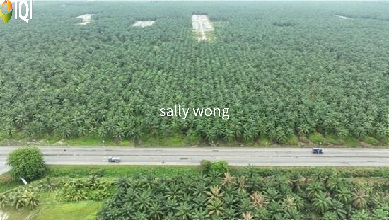 Bukit Changgang, Tanjong Dua Belas, Banting image