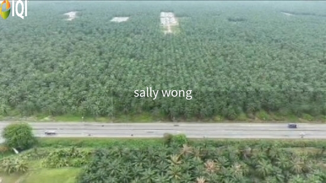 Bukit Changgang, Tanjong Dua Belas, Banting image