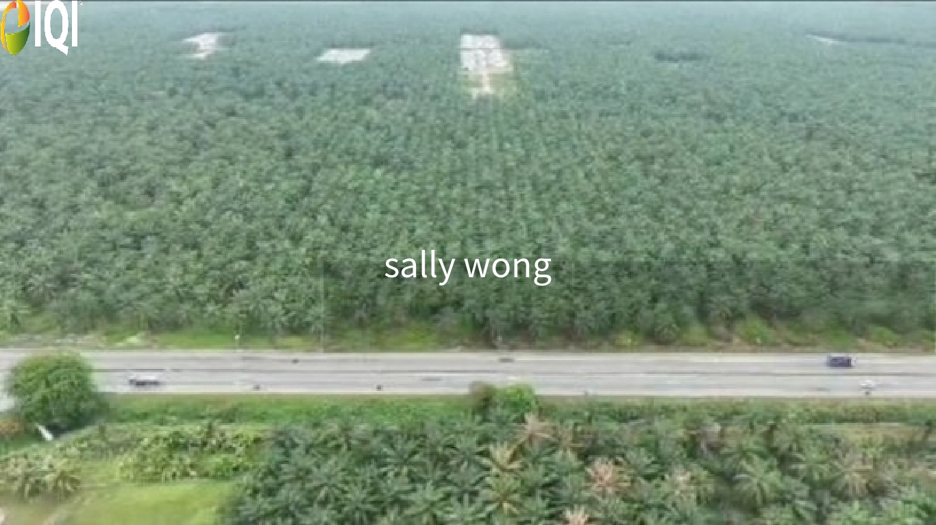 Bukit Changgang, Tanjong Dua Belas, Banting image