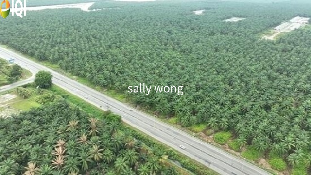 Bukit Changgang, Tanjong Dua Belas, Banting photo