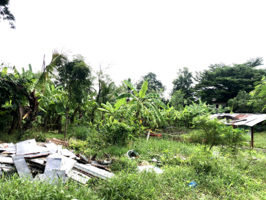 Land for Sale with Staff Accomodation Building and Warehouse Wat Phai Lueang Bangbuathong Nonthaburi image