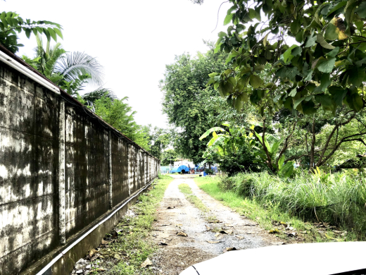 Land for Sale with Staff Accomodation Building and Warehouse Wat Phai Lueang Bangbuathong Nonthaburi image