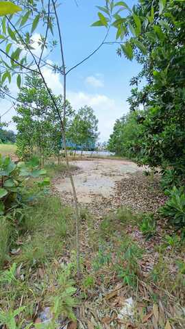 Green Street Home @ Seremban 2 Bungalow Land For Sale Hilltop Flat Land Facing North West image
