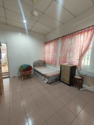 LORONG POKOK SAKA photo