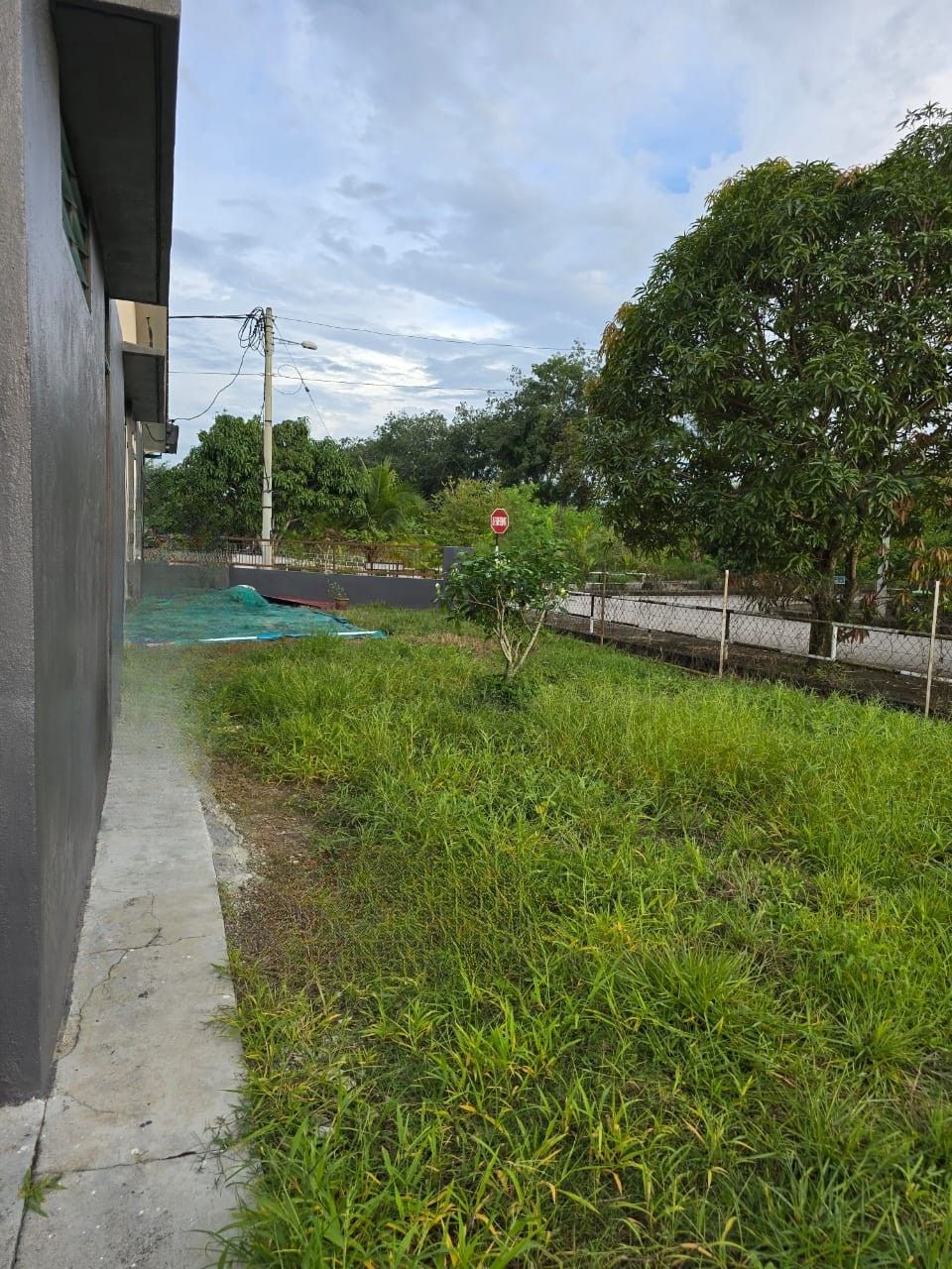 Desa Cinta Sayang image