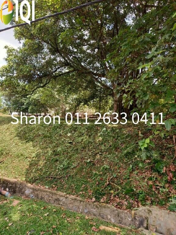 OUG Freehold Residential Land for sale image