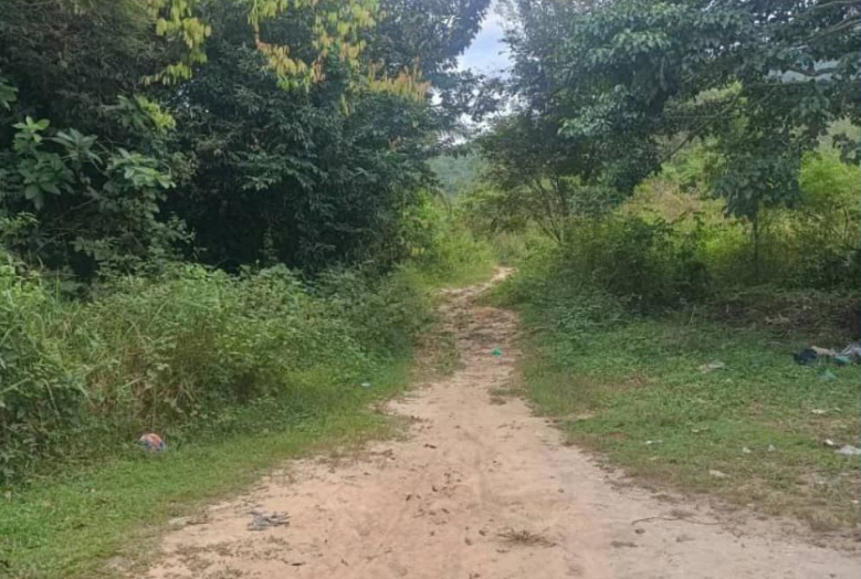 42.55 Acres Residential Zoning Bandar Gurun (Kaki Gunung Jerai), Kedah @ RM 9/Sqft image