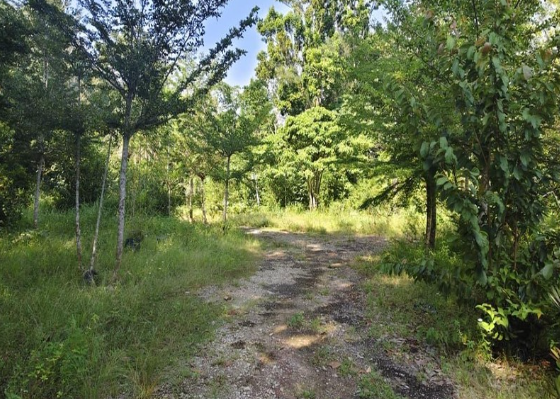 10.18 Acres Residential Zoning  Jalan Pinang Tunggal-Bertam (K162), Sungai Petani, Kedah @ RM20/Sqft image