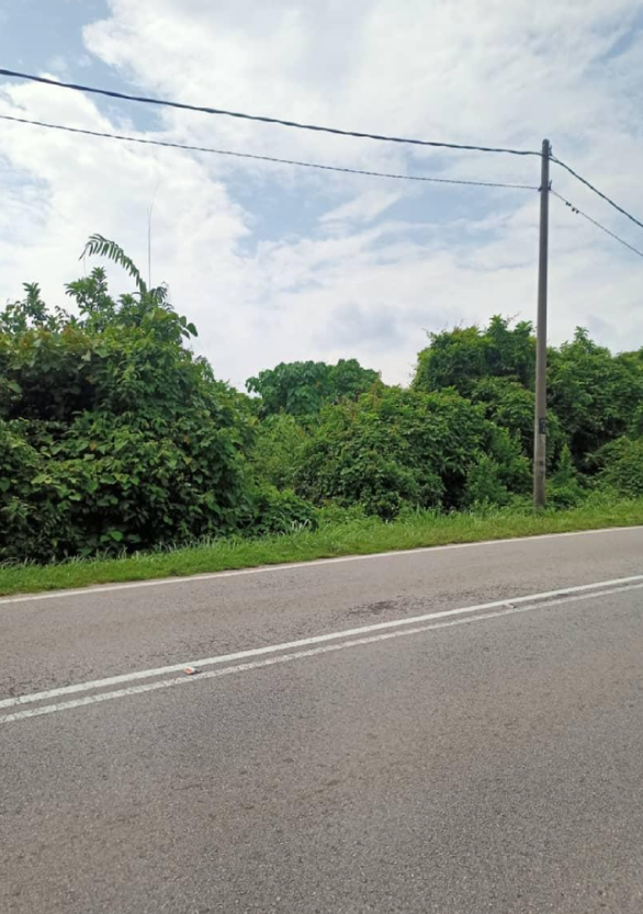 3.23 Acres Residential Zoning Jalan Sidam Kiri, Sungai Petani, Kedah @ RM 25/ Sqft image