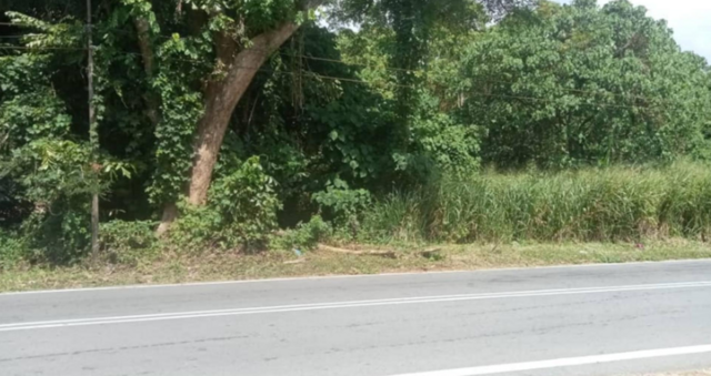 12.51 Acres Agriculture Zoning Jalan Lembah Bujang,Sg Petani @ RM 10/Sqft photo