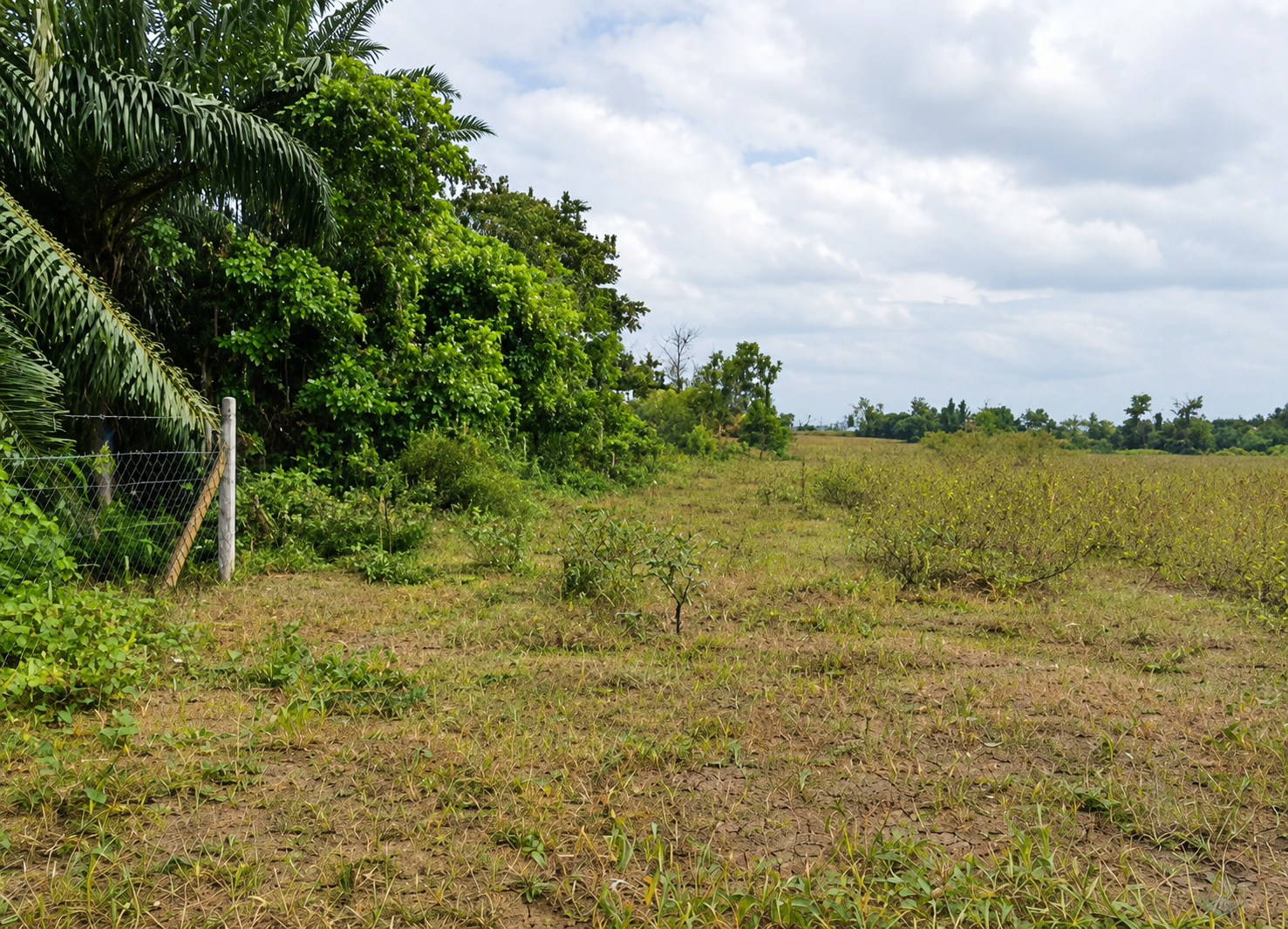 54.02 Acres Residential Zoning Seksyen 8, Sg Petani @ RM 8.50/Sqft image