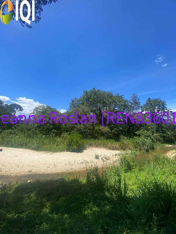 PEKAN NILAI Agriculture Land image