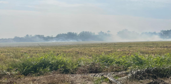 25.97 Acres Residential Zoning Seksyen 10 Parit Nibong,Bandar Baharu,Kedah @ RM8.50 image