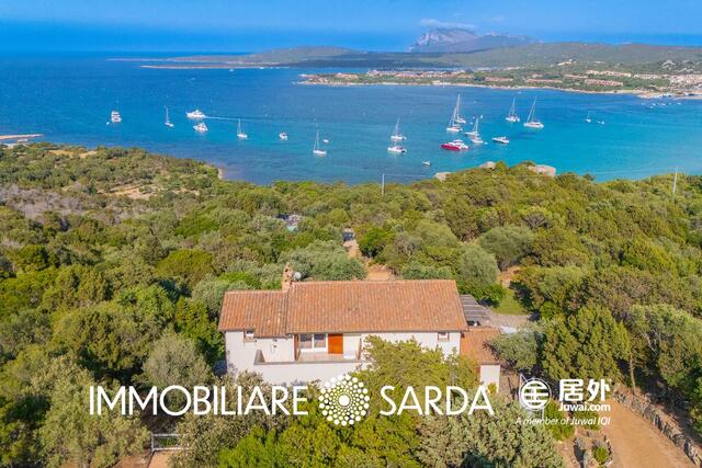 OLI-05-25 - Seafront Estate with 3-Hectare Park – Marinella, Porto Rotondo  image