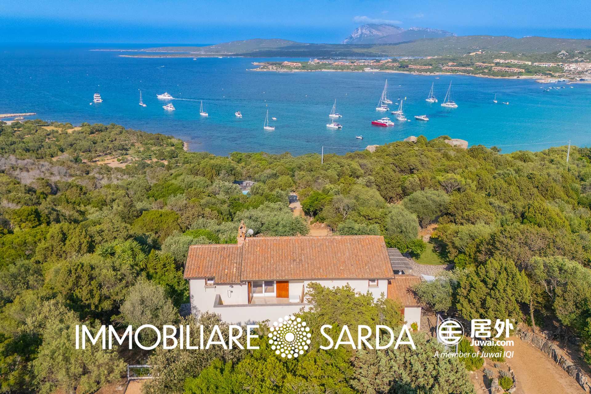 OLI-05-25 - Seafront Estate with 3-Hectare Park – Marinella, Porto Rotondo  image