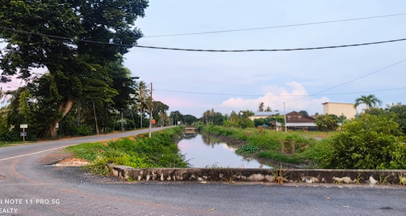 36.21 Acres Residential Zoning Kampung Kubang Rotan,Kedah @ RM 10/Sqft  image