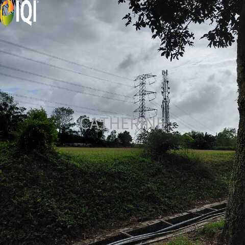 Sungai Tiram Medium Industrial Land With Detached Factories image