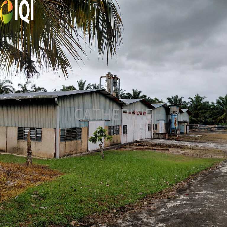 Sungai Tiram Medium Industrial Land With Detached Factories image