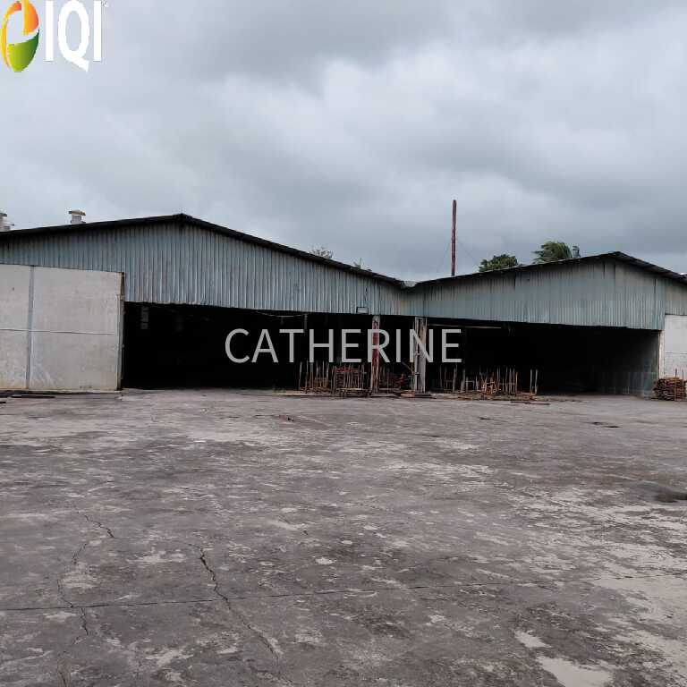Sungai Tiram Medium Industrial Land With Detached Factories image