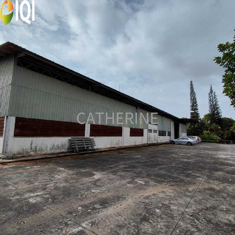 Sungai Tiram Medium Industrial Land With Detached Factories image