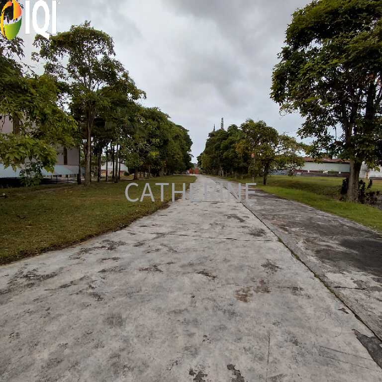 Sungai Tiram Medium Industrial Land With Detached Factories image