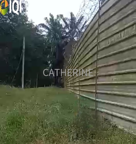 Agricultural Land Kluang Johor