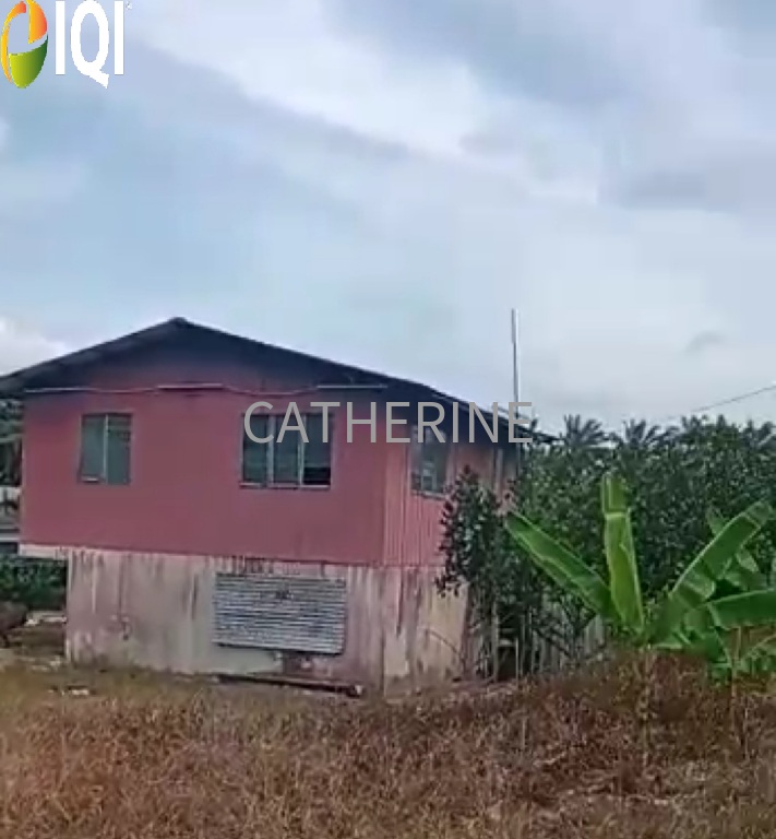 Agricultural Land Kluang Johor image