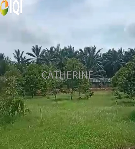 Agricultural Land Kluang Johor image