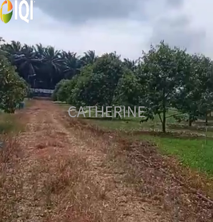 Agricultural Land Kluang Johor image
