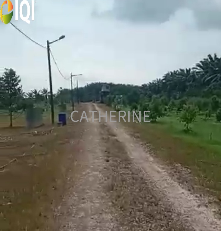 Agricultural Land Kluang Johor image