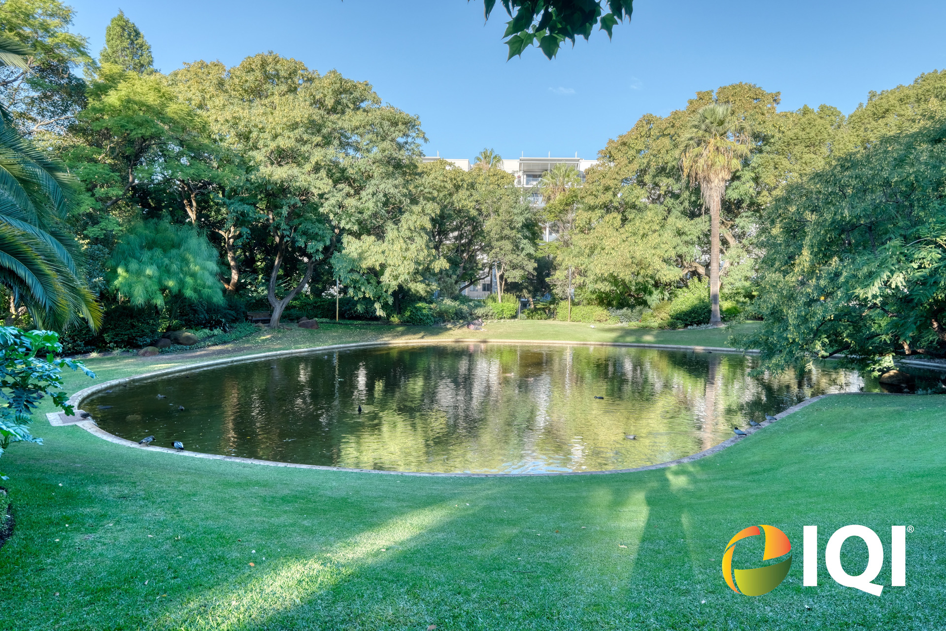 Harold Boas Gardens on Your Doorstep image