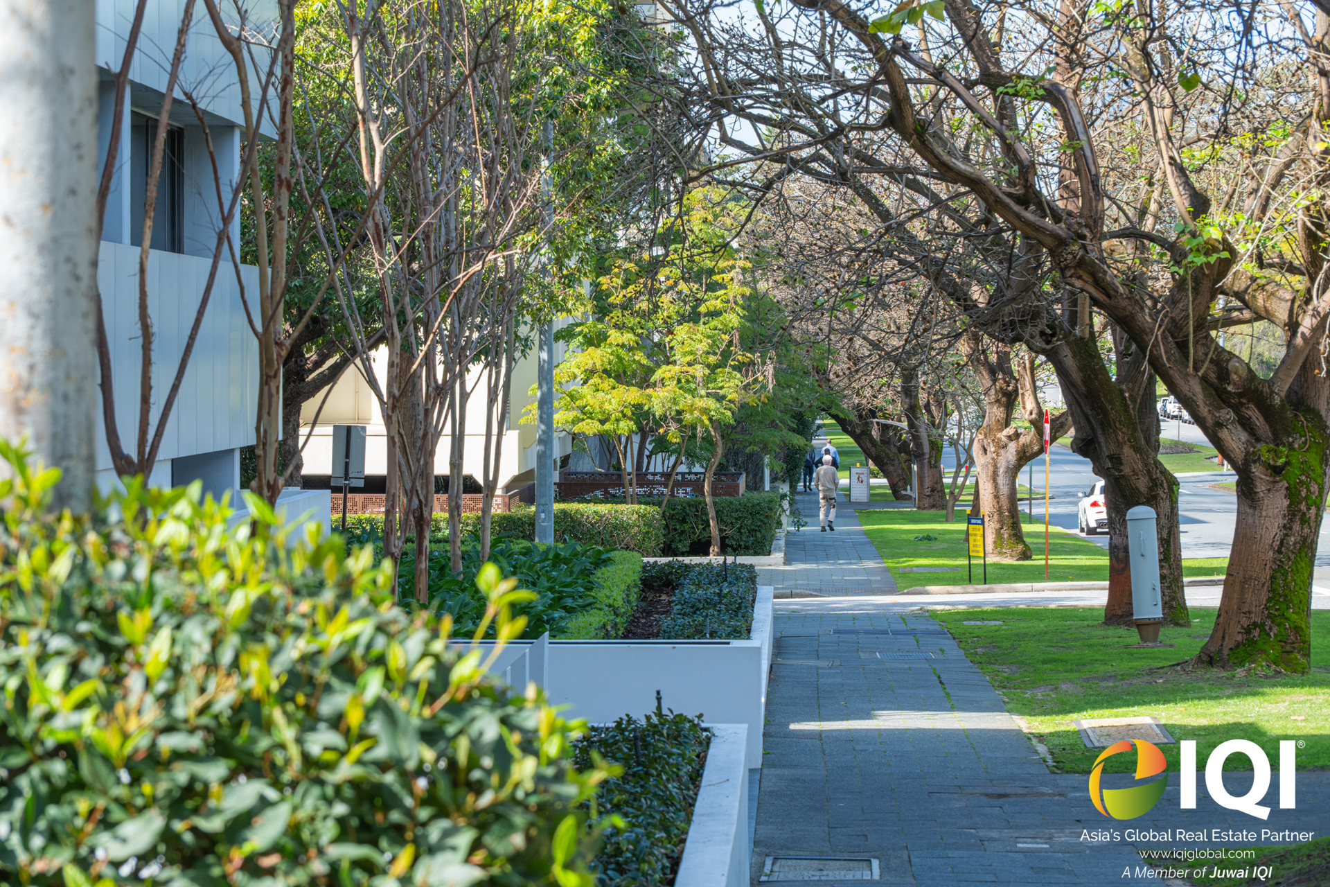 WHERE KINGS PARK BECOMES PART OF YOUR EVERYDAY LIFE image